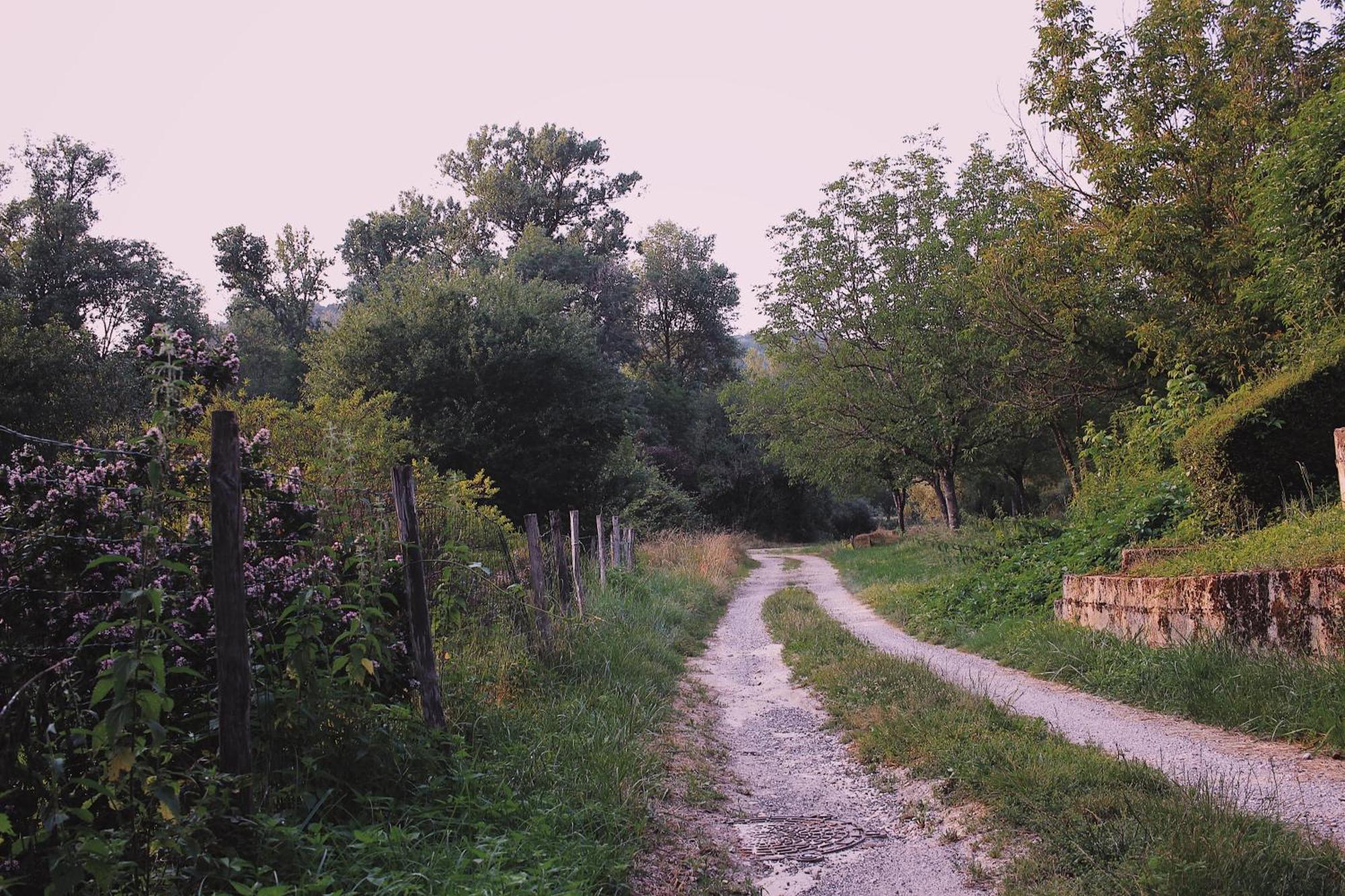 Joli Gite Pour 5 Personnes : Chez Cherrie Saint-Julien-de-Lampon Esterno foto